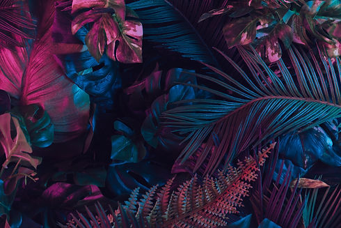 AdobeStock_251353227.jpeg