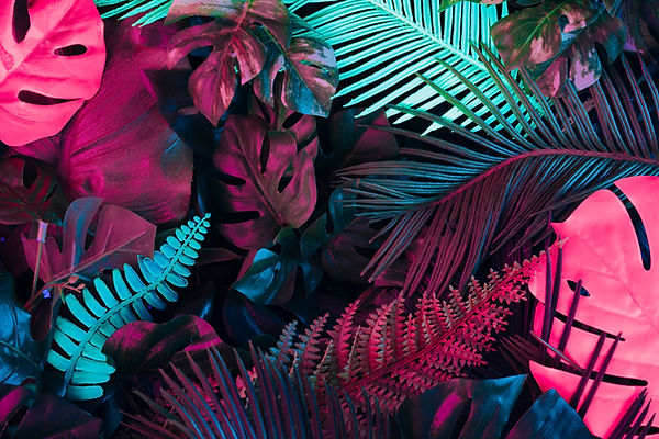AdobeStock_251353996.jpeg