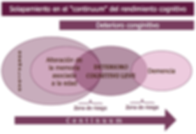 programa de estimulacion cognitiva sabadell