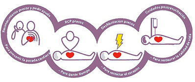 CADENA DE SUPERVIVENCIA | MaterLac | Soporte Vital Básico y DEA | Sabadell | Barcelona | Primeros auxilios infantiles