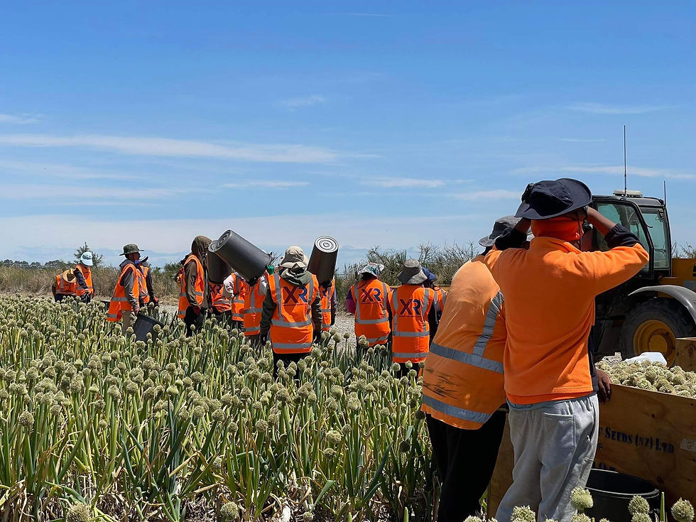 423147395_441321531555486_4533126901963606770_n