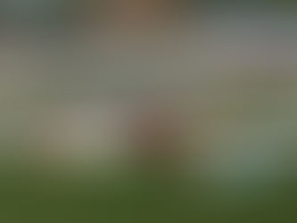 How did he drive that? Swaybar broke in 2017 Hamke finished P5 from P7 fought for P1 9/17/2022.