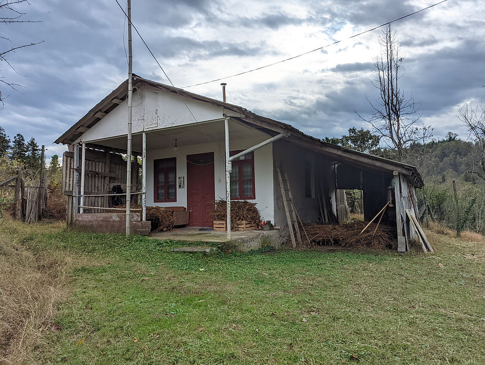 Thumbnail: House with land for sale in Ozurgeti