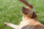 AdobeStock_114526363.jpeg