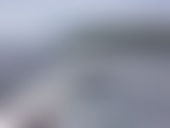 The Salmon Traps - Leighann Diehl