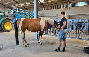 Eté 2024 - Equitation (7).jpg