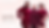Banner site 1 (1).png