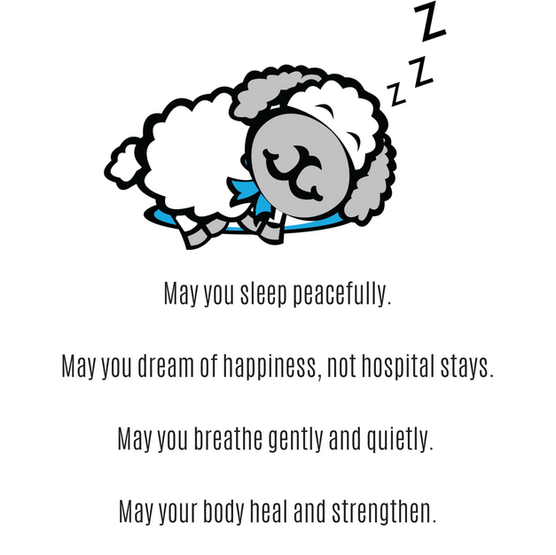 Lu's Bedtime Wish