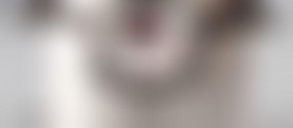 Does Pressure Cooking Save Energy?