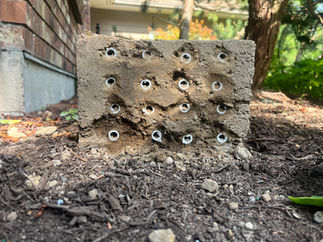 front view rammed earth structure