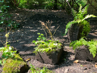 The Case for Rammed Earth Planters in Your Garden