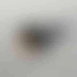 compressed earth and  charcoal