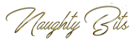 NAUGHTYbits Logo Transparent.png