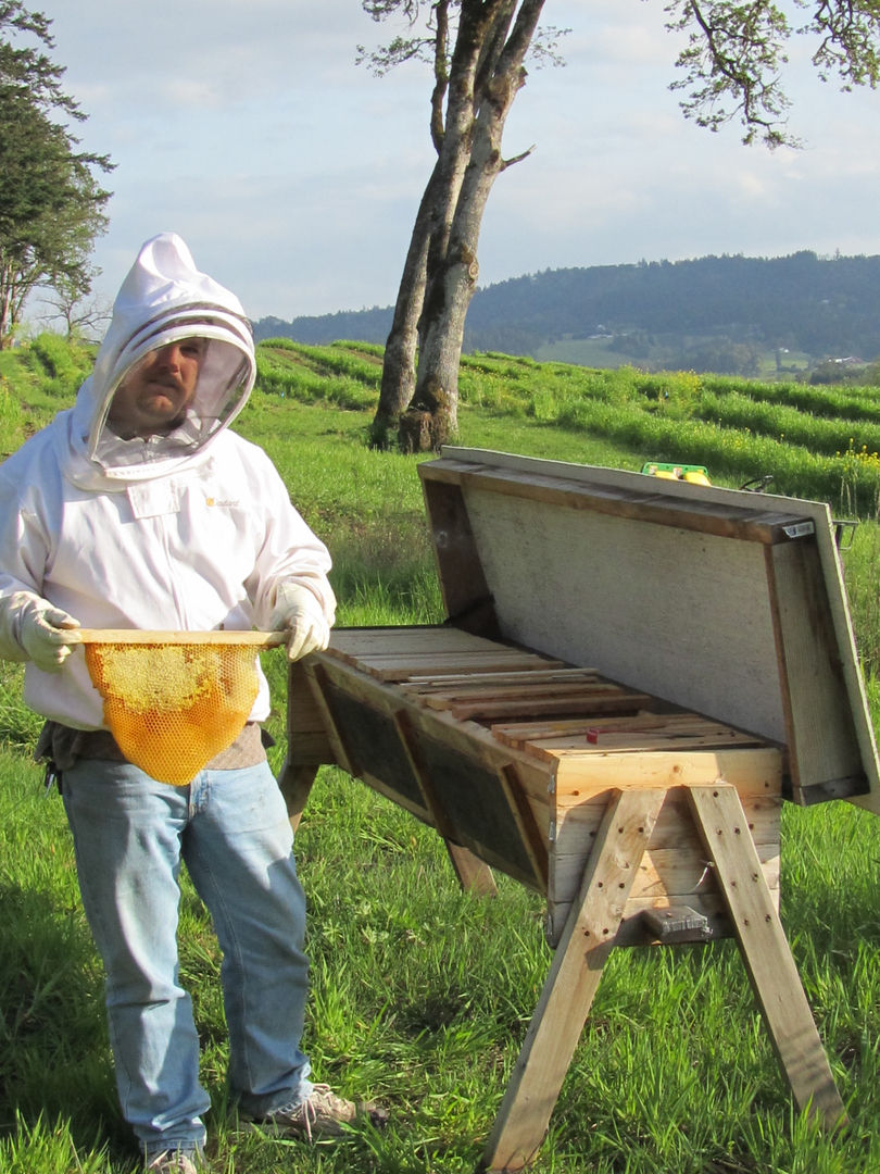 Beekeeping