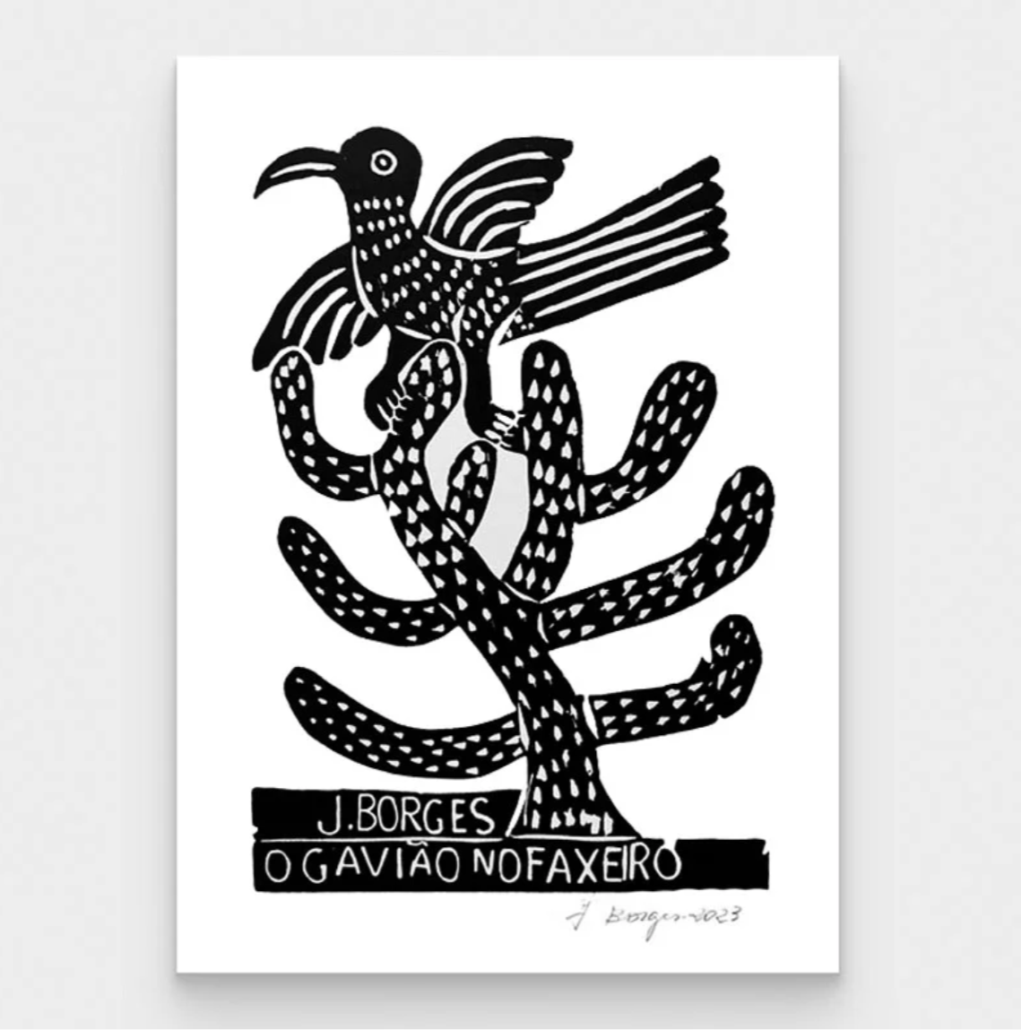 'The Hawks' Cactus' - M