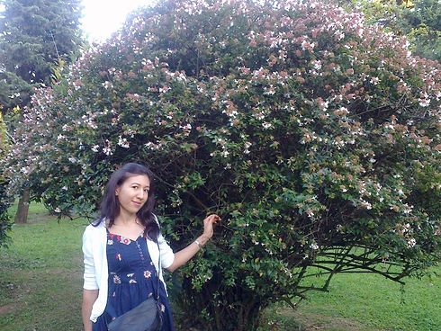 image0.jpeg