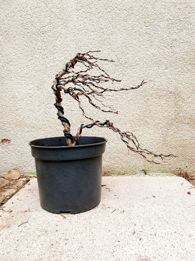 20201222_153322.jpg