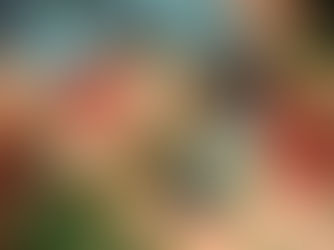 Orgula maslinova ulja ponovo najbolja po izboru mama