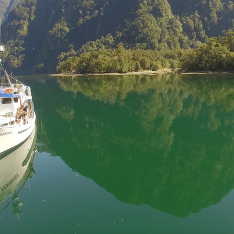 That's what I call green