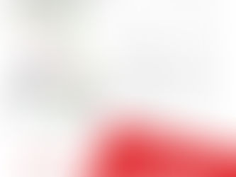 Certificate of Lawfulness