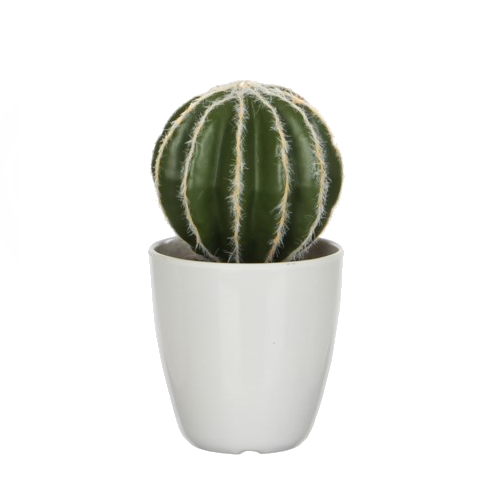 Thumbnail: Artificial Cactus in Pot, each (Assorted styles)