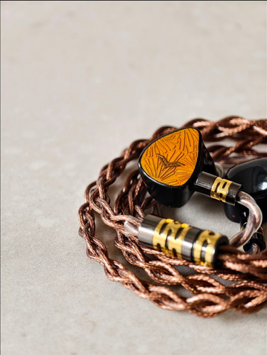 イヤホン AuR Audio - Alicante + Santa Cruz Cable Alicante (IEM with Top Technicalities and Detail Retrieval) | My Site