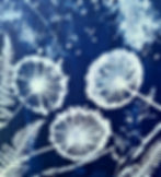 20230625_151327.jpg