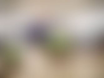 YB Power 2030: Tough stretch of three consecutive 2 point losses!