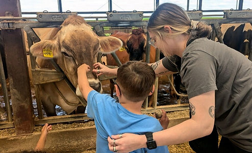 Farm field trip