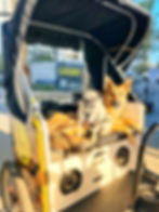 Bill & Peggy in a pedicabs in Downtown Reno