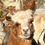 Thumbnail: Thick, extra warm, Alpaca socks.
