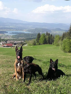 Hurricane, bea, Boss