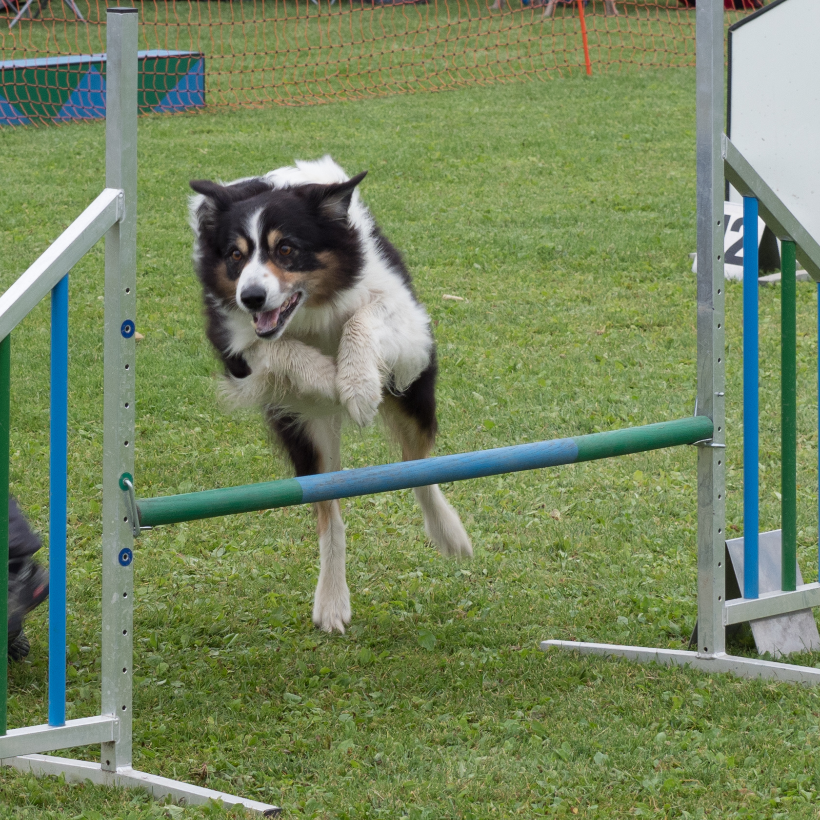 Agility oervhomepage