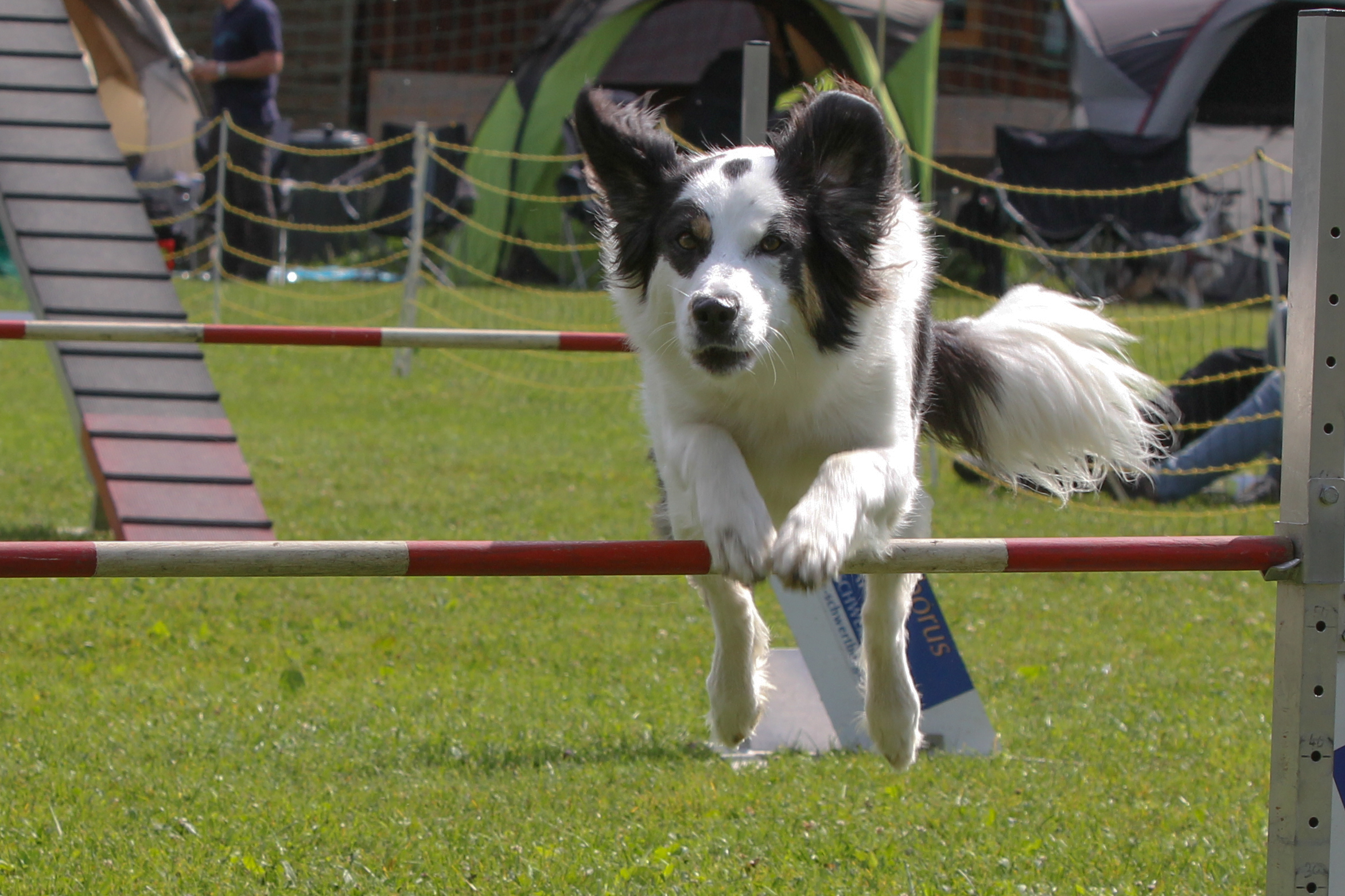 Agility oervhomepage