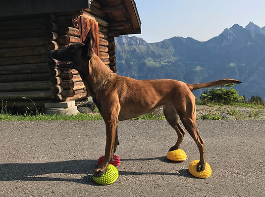 IMG-20180828-WA0008.jpg