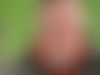 Änderungen Fachkommission Gebrauchshunde