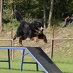 BS-KOOP-Sued-2018_0532.JPG