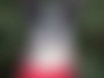 Frohe Weihnachten euch allen!