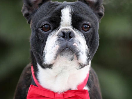 Frohe Weihnachten euch allen!