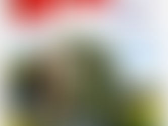 ÖRV - News: Dezemberausgabe online