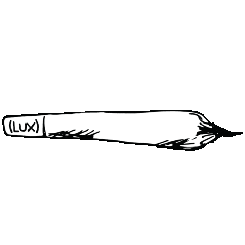 giphy-3.gif