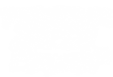 FAD LOGO INVERTED TRANSPARENT SQUARE.png