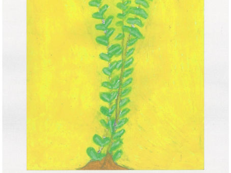 絵画展 『サニーサイドは、今日も元気です サニーサイドの画家たち展vol.8』