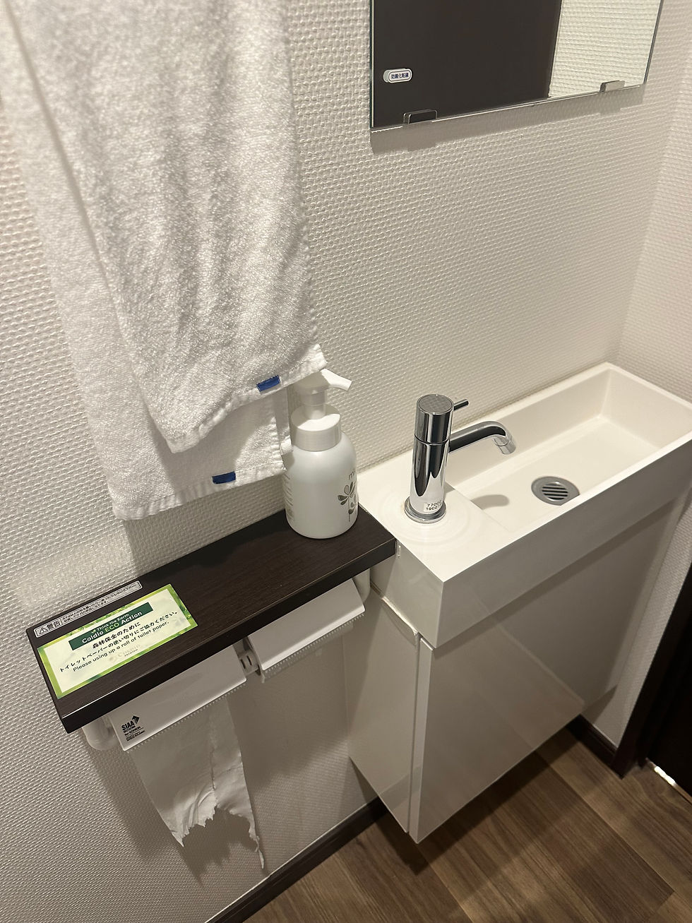 Toilet Room at Our Rental