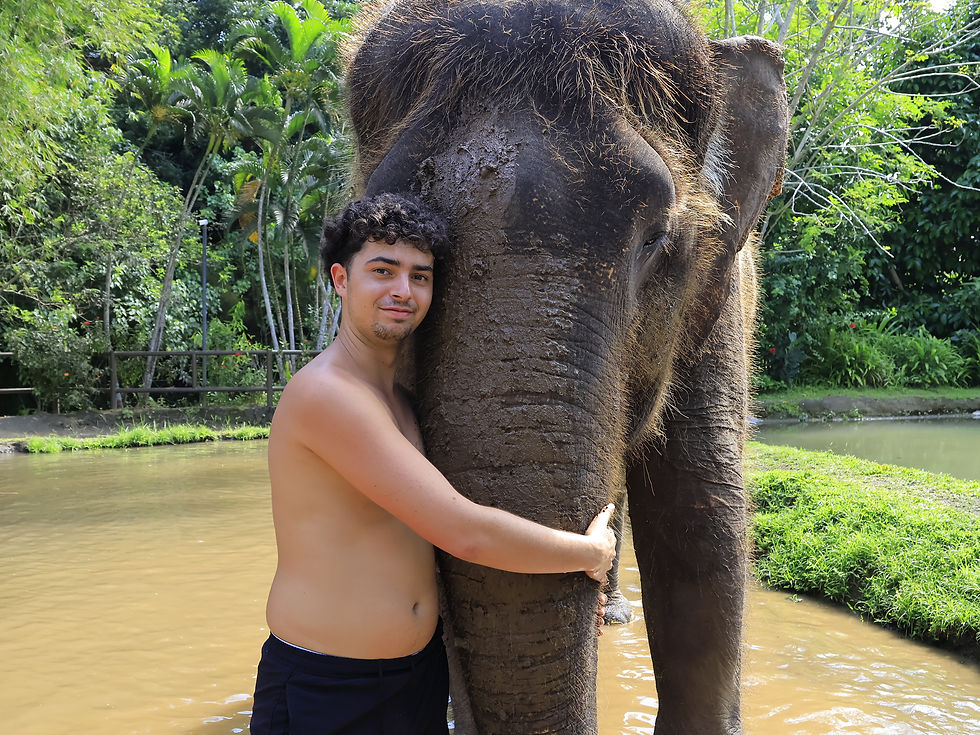 Slade Giving The Elephant A Mud Bath