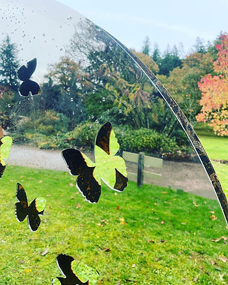 BUTTERFLY SEASON