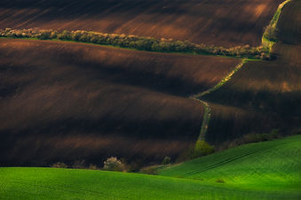 Rolling hills in Southern Moravia