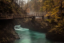 Vintgar Gorge Slovenia