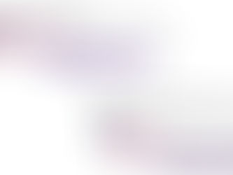 Les premiers pas de PECAN