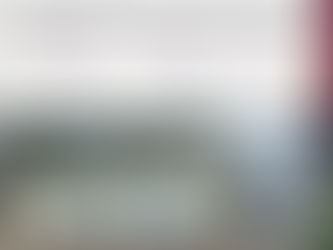 Grupo Interinstitucional asegura y deshabilita un área de almacenamiento de precursores químicos en Culiacán